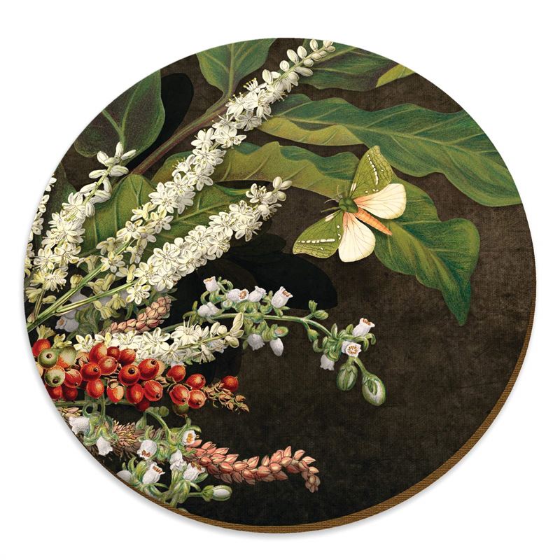 Wolfkamp & Stone Placemats