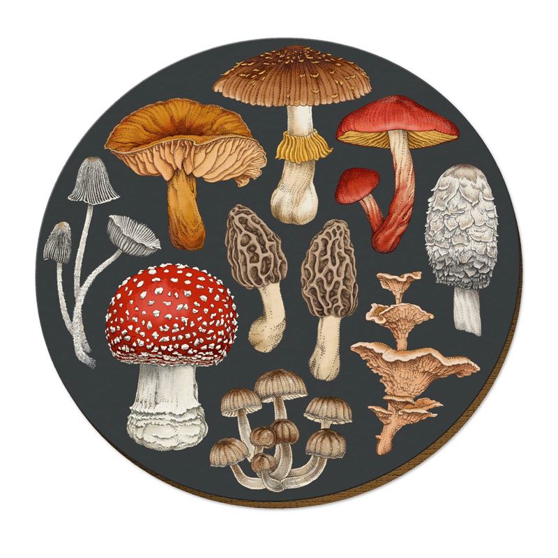 Wolfkamp & Stone Placemats