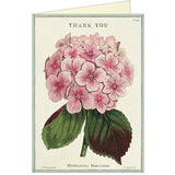 Hydrangea Thank You / Card