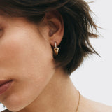 Amore Sparkle Hoops S Gold