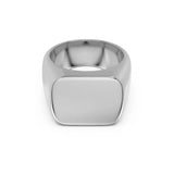 Ellis Signet Ring Steel