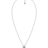 Lucky Necklace Steel