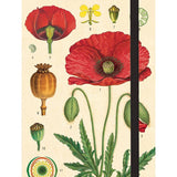 Botany - Small Notebook