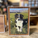 Rimu Photo Frame