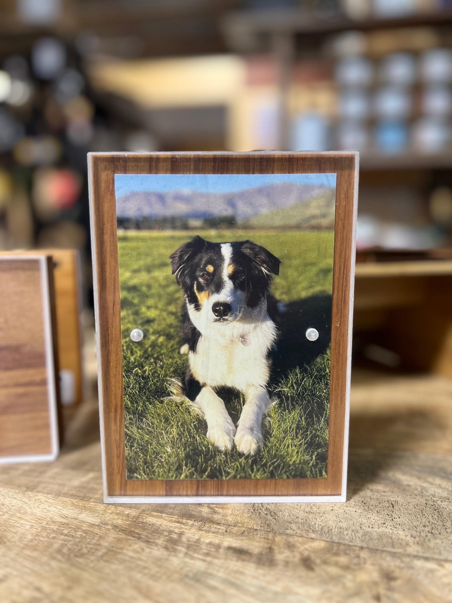 Rimu Photo Frame – Brandland