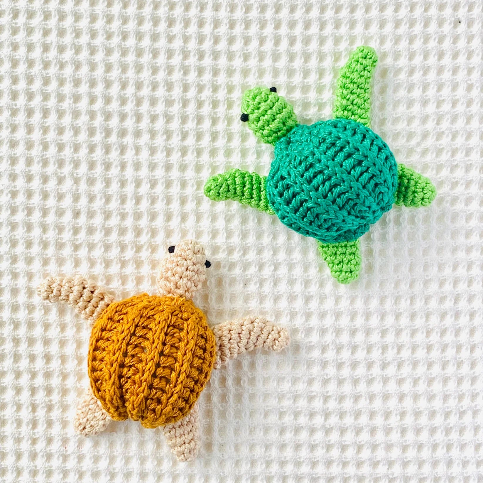Turtle Rattle Kit Mini Turtle Rattle – Brandland