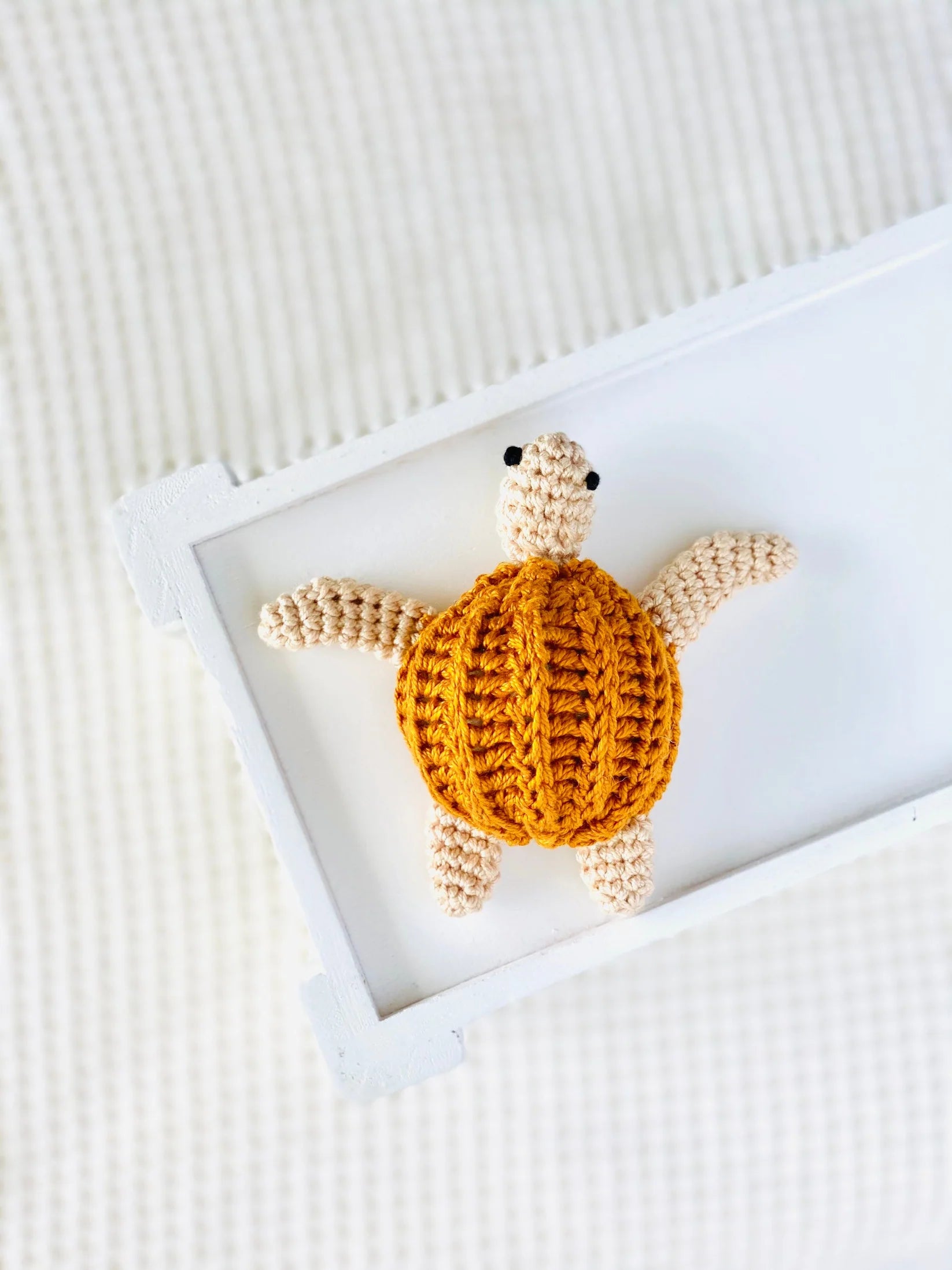 Turtle Rattle Kit Mini Turtle Rattle – Brandland