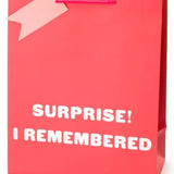 Surprise I Remembered - Large Gift Bag