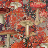 Fungi - Card