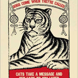 Cats Message Card