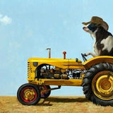 Uncommon Cowboy - Black Box Frame