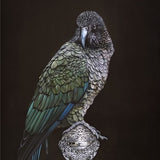 Kea On Vessel - Mini Notecard