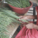 Blue Lemongrass
