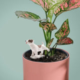 Pee My Plants Dog - Watering Decoration