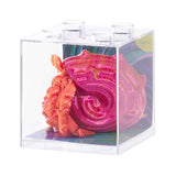 3D Sensory Sealife