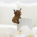 Saddle & Bloom Highland Cow Pot Hangers - Assorted
