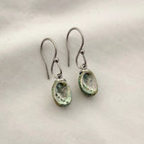 Paua Shell Dangle Hook Earrings