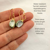 Paua Shell Dangle Hook Earrings