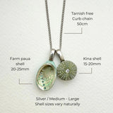 Paua & Kina Shell Pair Necklace