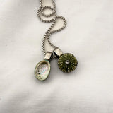 Pāua & Kina Shell Pair Necklace