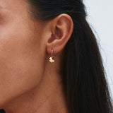 Lucky Mini Hoops Gold