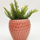 Strawberry Planter Pink 15cm