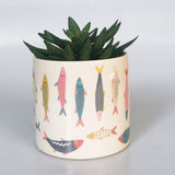 Sardines Planter - Colourful