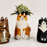 Sitting Cat Vase Orange 16cm