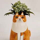 Sitting Cat Vase Orange 16cm