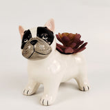 Cute French Bulldog Planter White 13.5cm