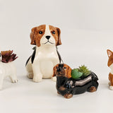 Cute Beagle Planter White & Brown 19.5cm