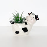 Reclining Cow Planter White 18cm