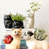Winston Cat Planter Black 15cm