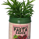 Pasta Sauce Planter Red & Pink 14cm