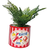 Sea Vita Planter Red & Pink 12cm