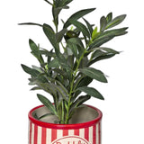 Spritz Bubbly Bar Planter Pink 16cm