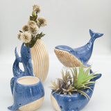 Reef Whale Planter Blue 13cm
