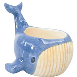 Reef Whale Planter Blue 13cm