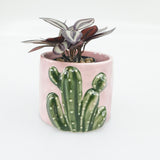 Cactus Planter Pink 9cm