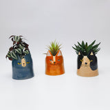 Bailey Cat Planter - 14cm