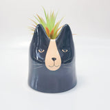 Bailey Cat Planter Black 14cm