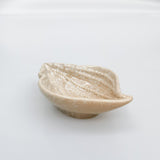 Reef Shell Dish Bisque 14cm