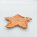 Reef Star Fish Dish Orange 16cm