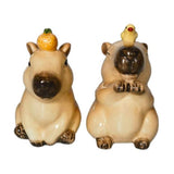 Capybara Salt & Pepper Shakers - 9cm