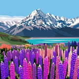 Mt Cook Lupins - Black Box Frame