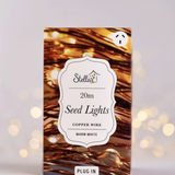 20m Plug In Copper Seed Lights