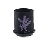 Koromiko On Dark Grey - Ecofelt Growbag