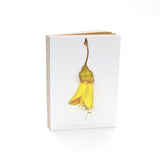 Flora Kowhai Single Flower Notebook