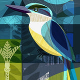 New Zealand Kingfisher - Black Box Frame