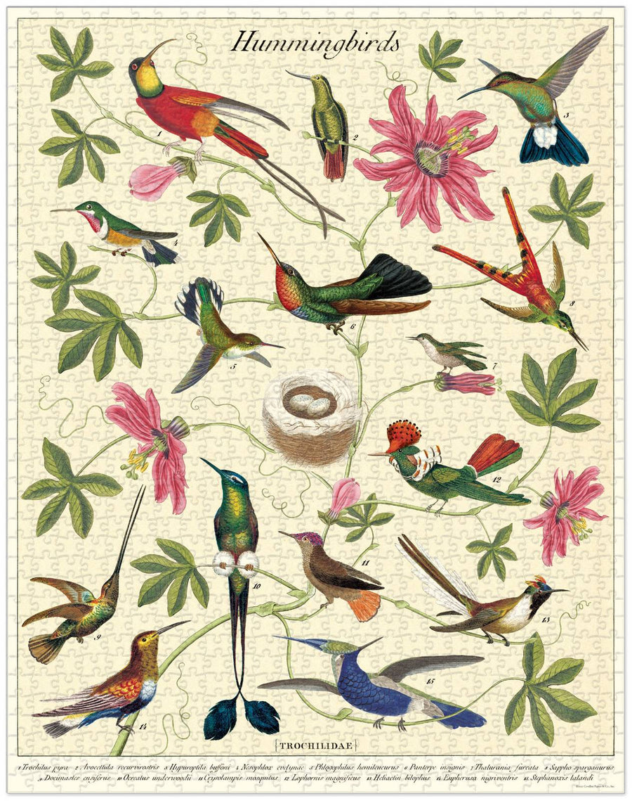 Hummingbirds - 1000 Pce Puzzle